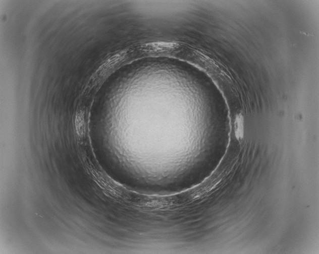 X0000087691395200705041026