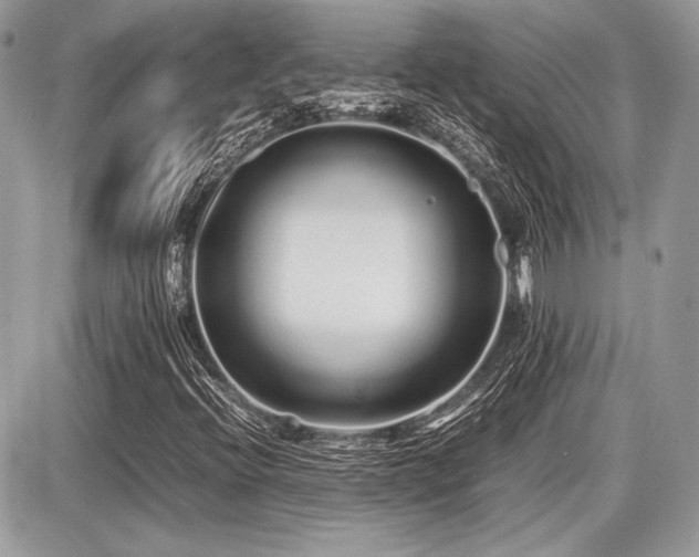 X0000087691396200705041026