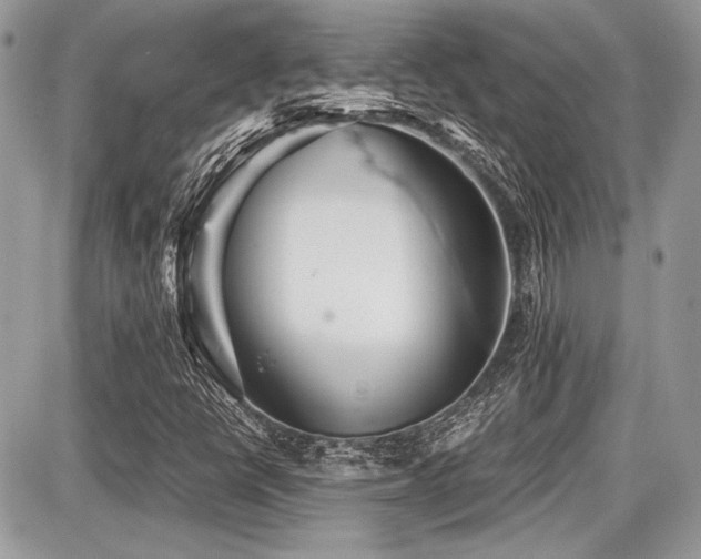X0000087691398200705041026