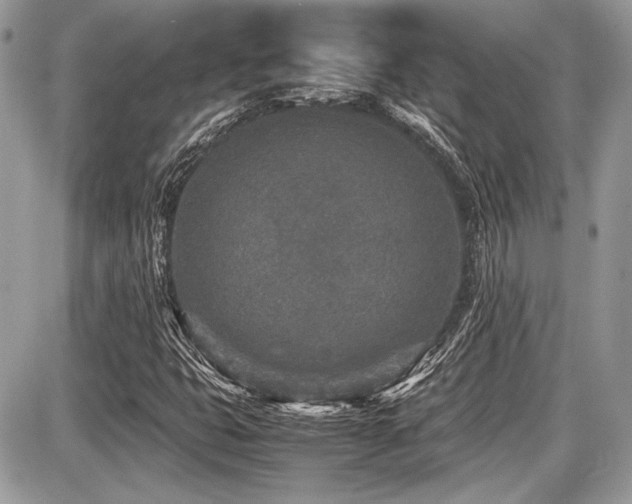 X0000087691399200705041026