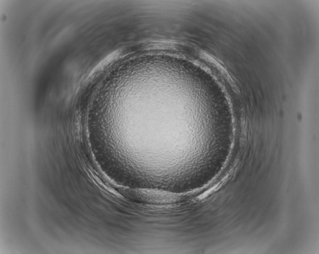 X0000087691403200705041026