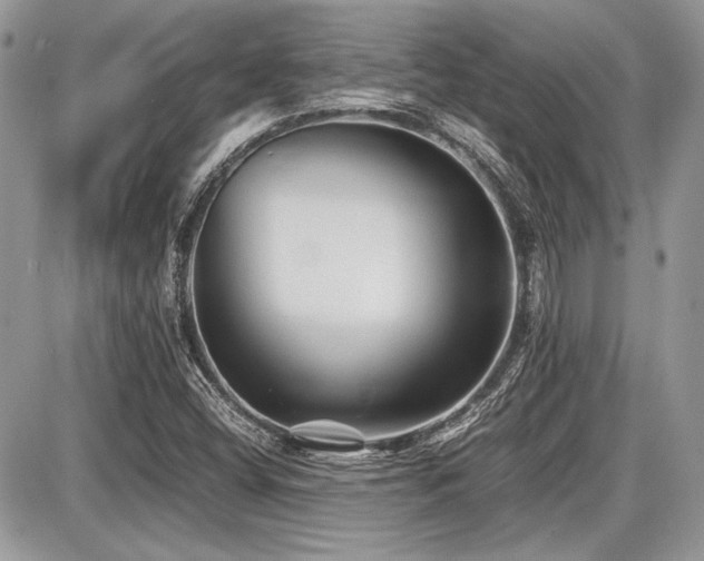 X0000087691404200705041026
