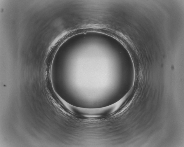 X0000087691406200705041026