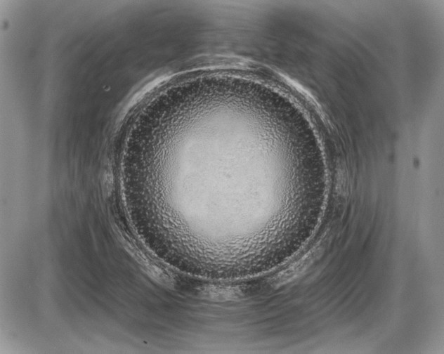 X0000087691407200705041026