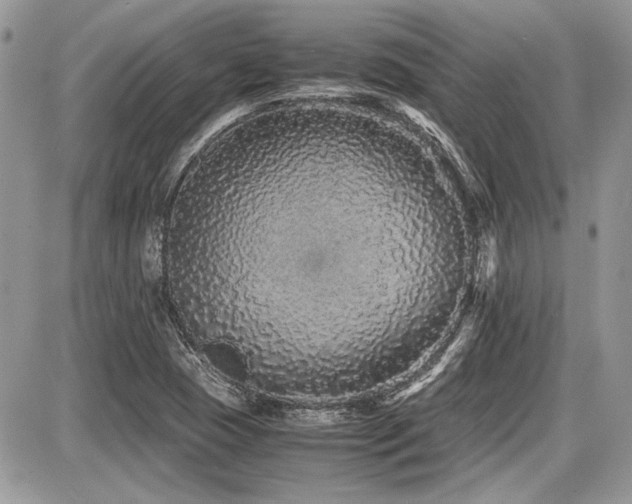 X0000087691409200705041026