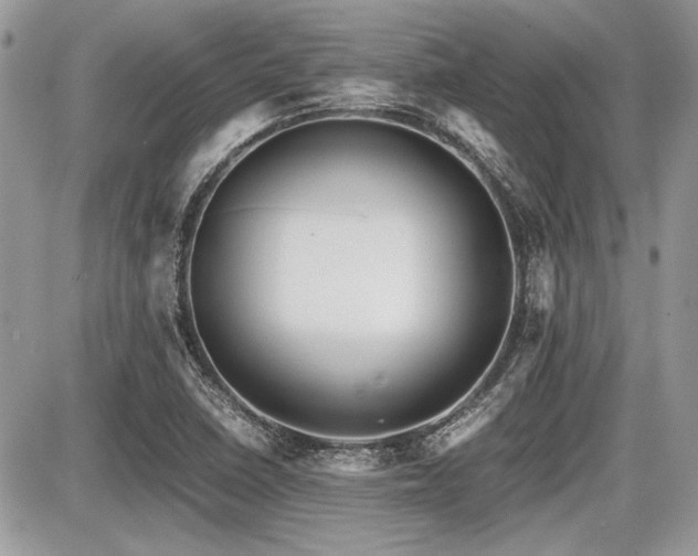 X0000087691410200705041026