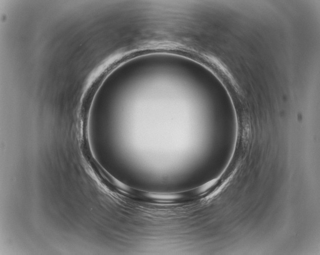 X0000087691414200705041026