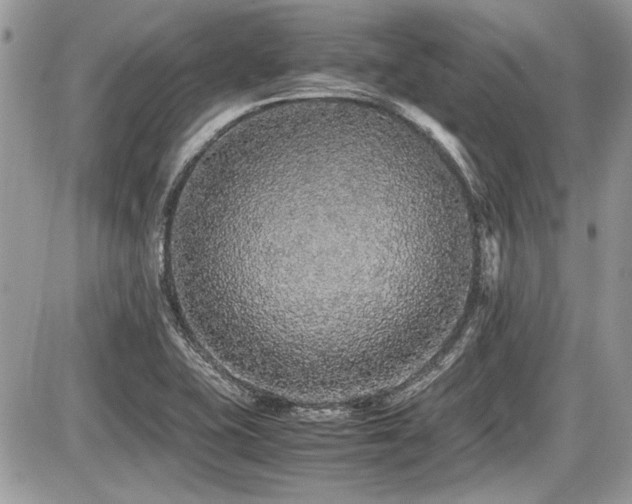 X0000087691415200705041026