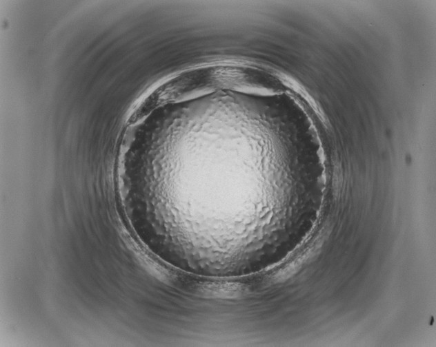 X0000087691417200705041026