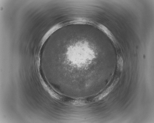 X0000087691418200705041026