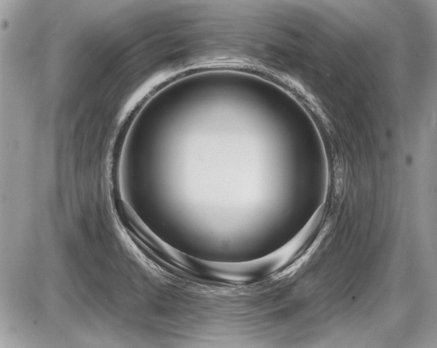X0000087691422200705041026