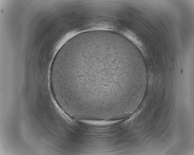 X0000087691423200705041026