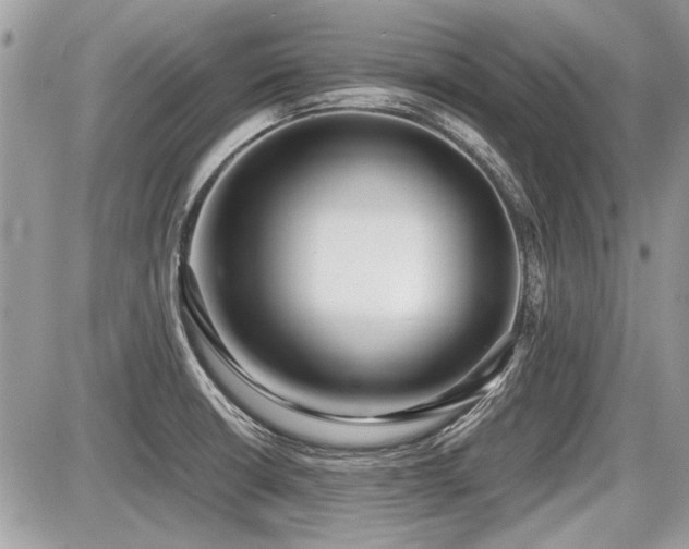 X0000087691426200705041026