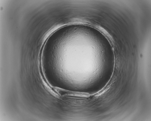 X0000087691431200705041026