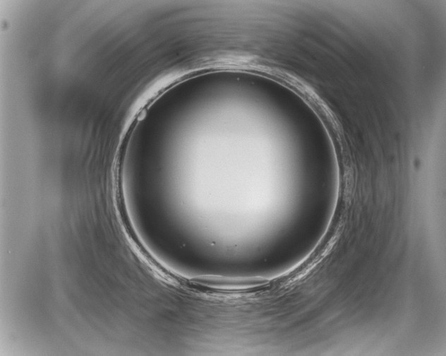 X0000087691432200705041026