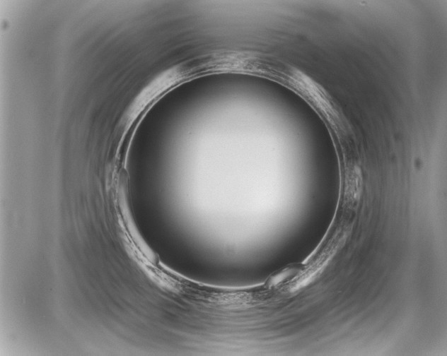 X0000087691434200705041027