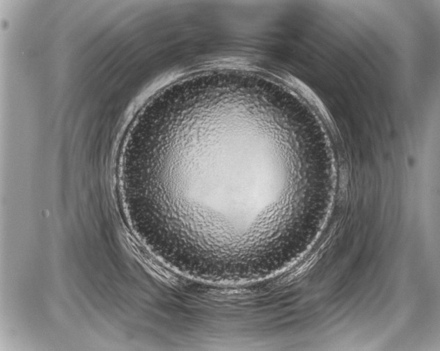 X0000087691435200705041027