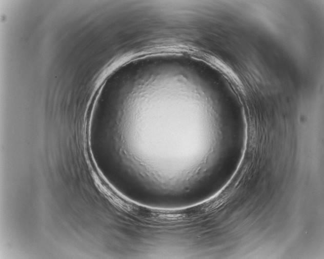 X0000087691439200705041027