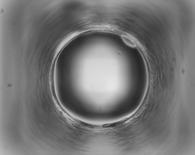 X0000087691440200705041027
