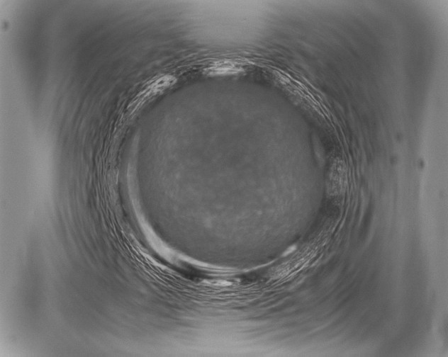 X0000087691441200705041026