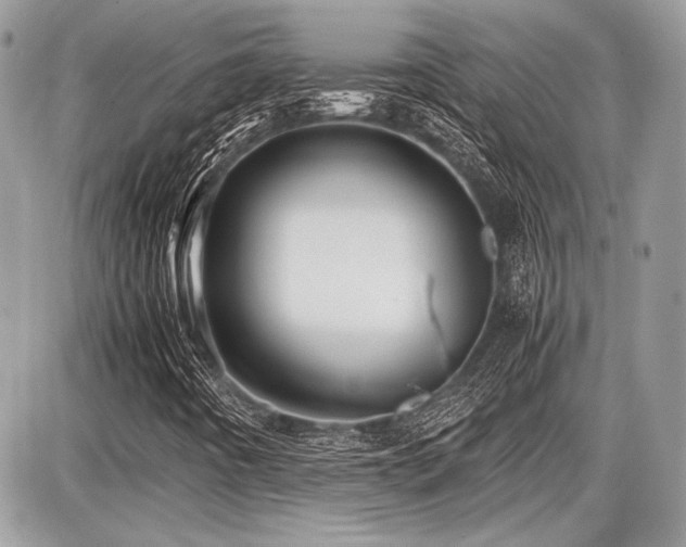 X0000087691442200705041026