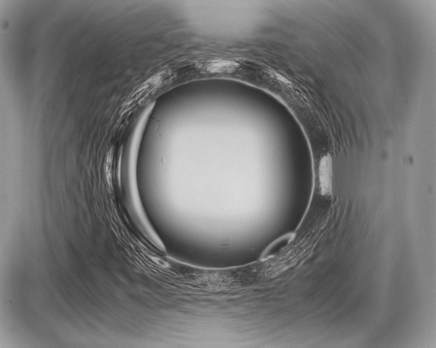 X0000087691443200705041026
