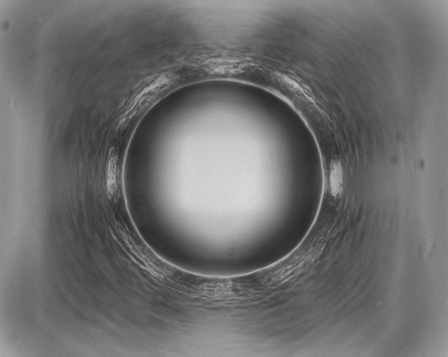 X0000087691444200705041026