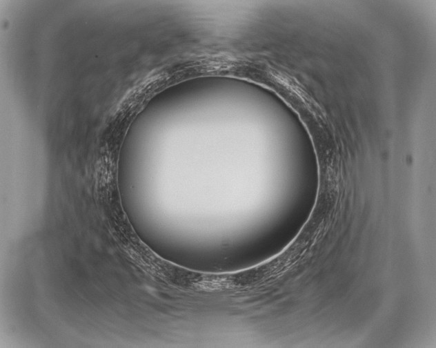 X0000087691447200705041026