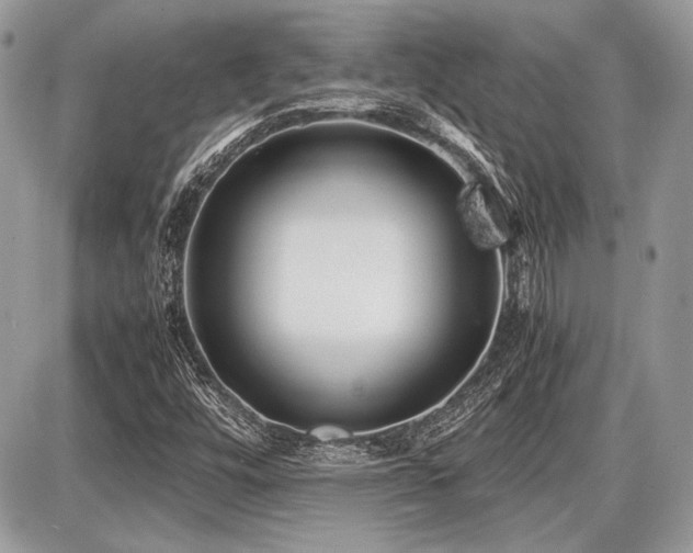 X0000087691448200705041026