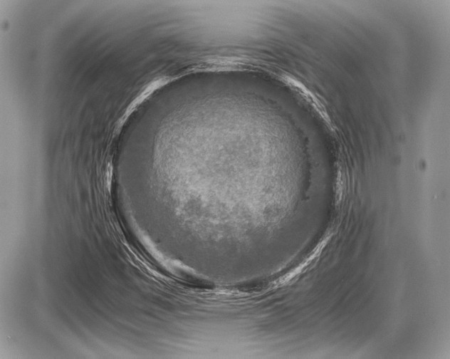 X0000087691449200705041026