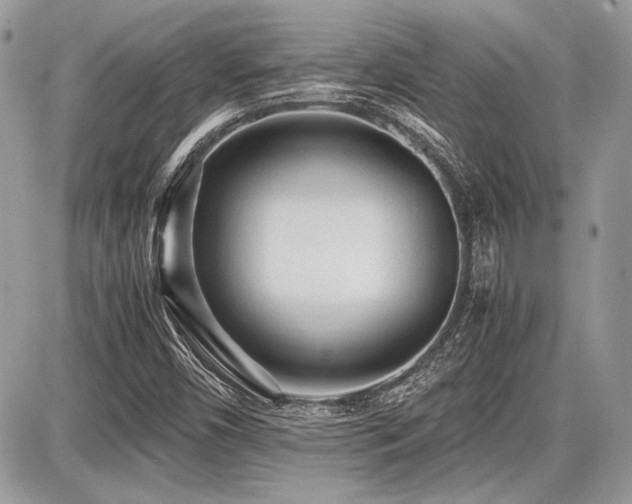 X0000087691450200705041026