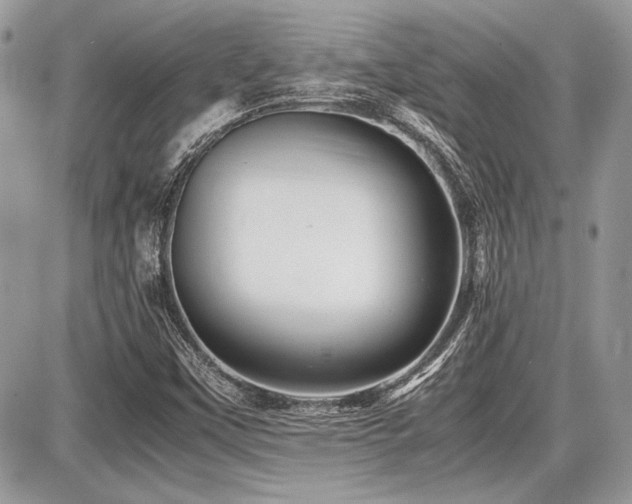X0000087691451200705041026