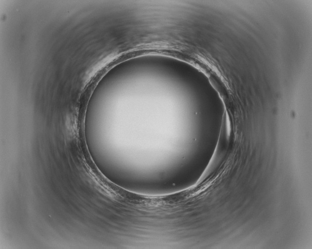 X0000087691452200705041026