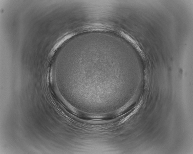 X0000087691453200705041026