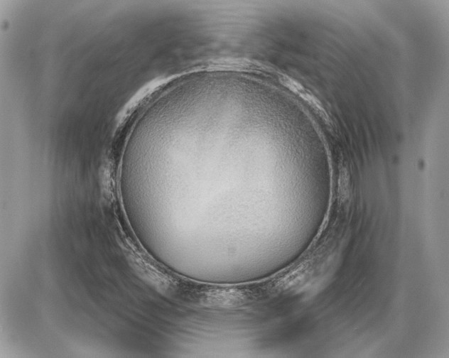 X0000087691454200705041026