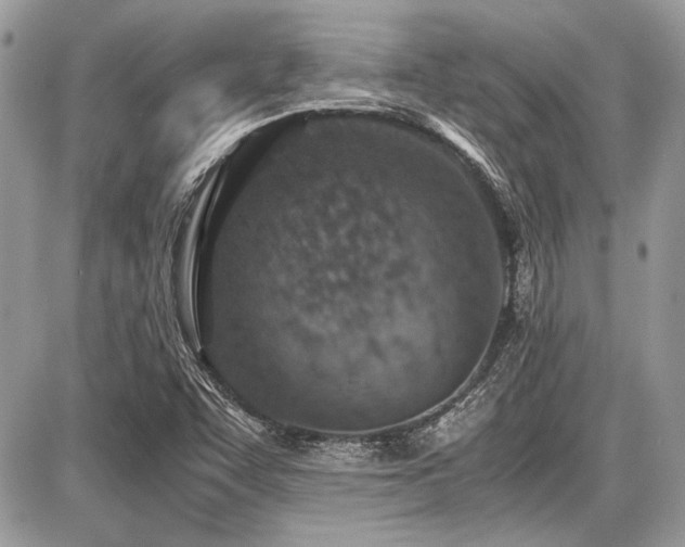 X0000087691455200705041026