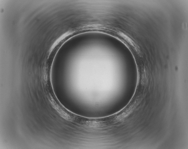 X0000087691458200705041026