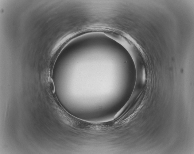 X0000087691461200705041025