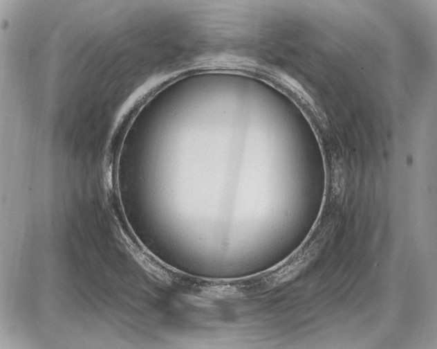 X0000087691462200705041025