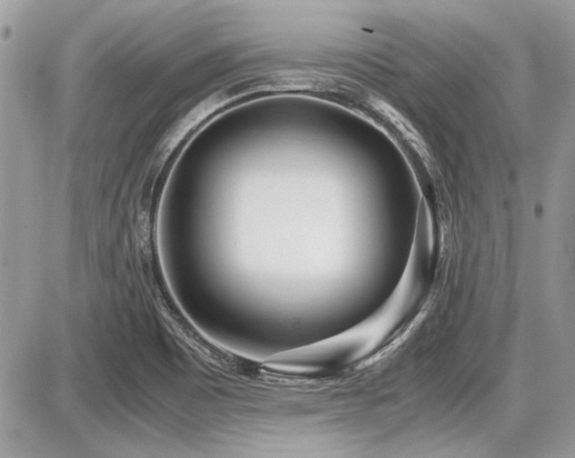 X0000087691465200705041025