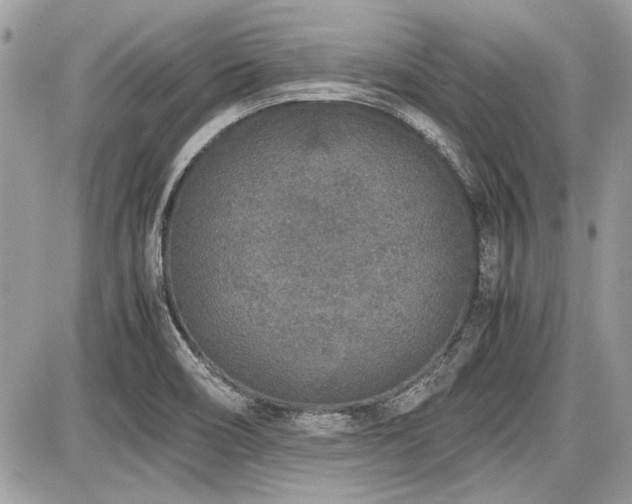 X0000087691466200705041025