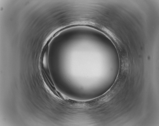 X0000087691468200705041025