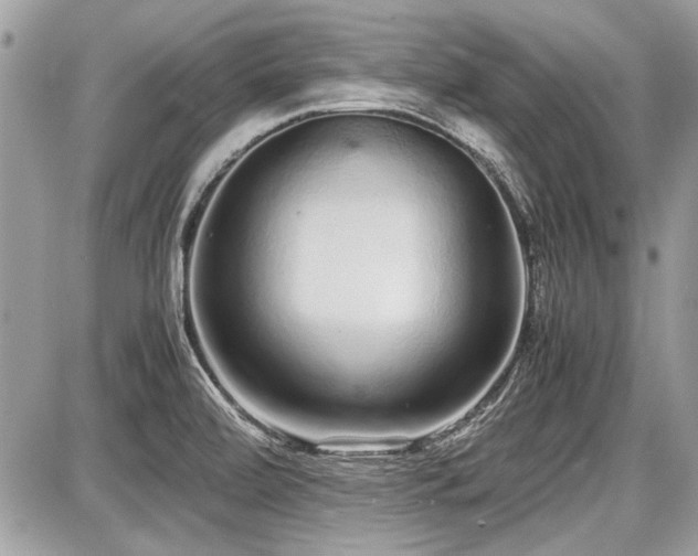 X0000087691472200705041025