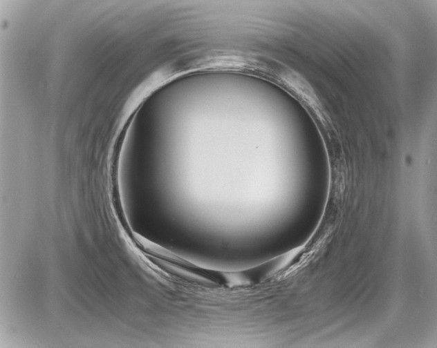 X0000087691475200705041025