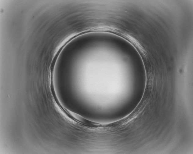 X0000087691476200705041025