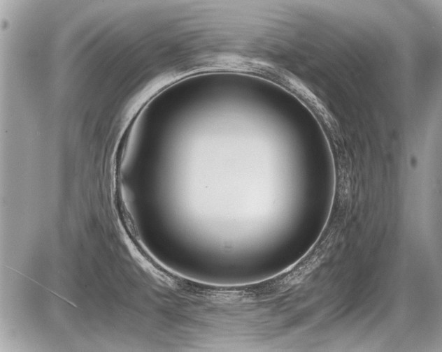 X0000087691479200705041025