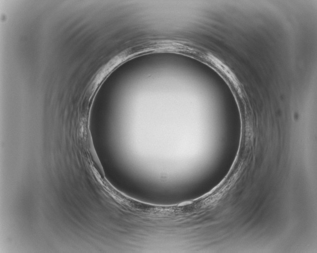 X0000087691481200705041025