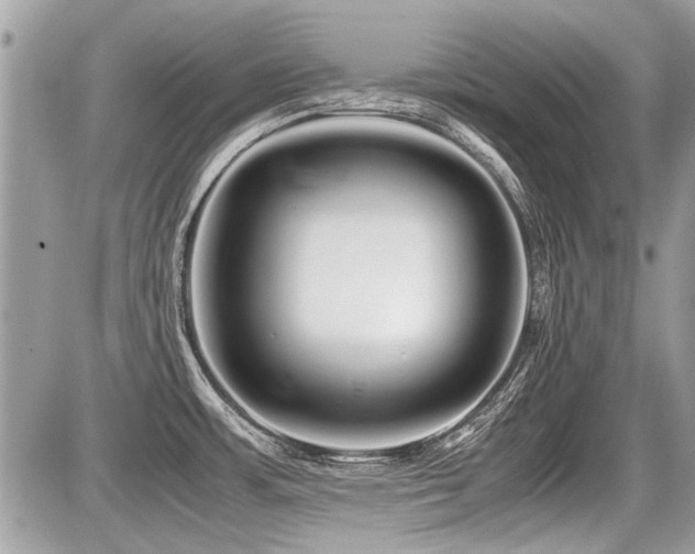 X0000087691483200705041025