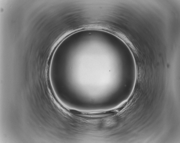 X0000087691484200705041025
