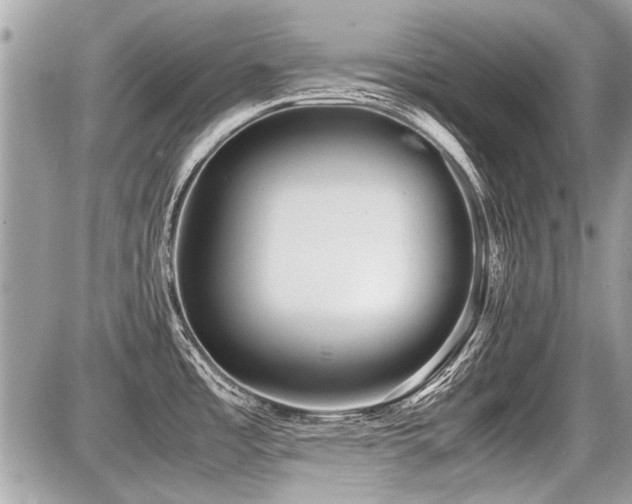 X0000087691485200705041025